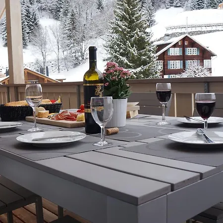 Brunner Penthouse Apartment Wengen